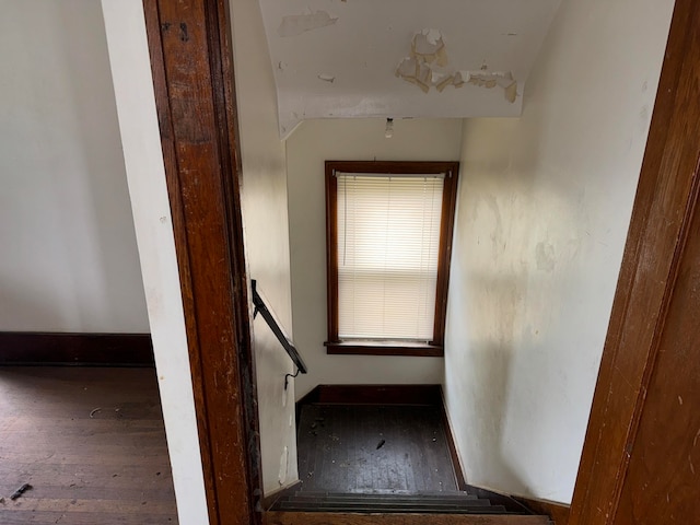 hallway featuring dark wood-type flooring