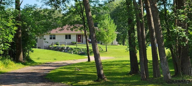 view of property's community with a yard