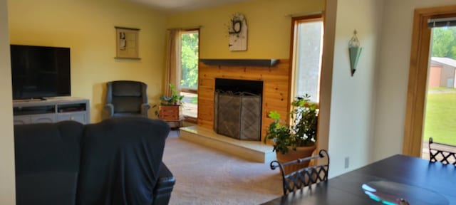 living room featuring a wealth of natural light and carpet floors