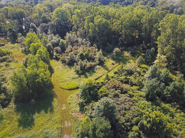 bird's eye view