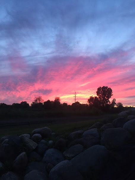 view of yard at dusk