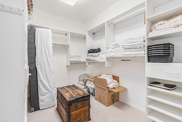 spacious closet with light colored carpet