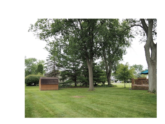 view of yard featuring a shed and a wooden deck