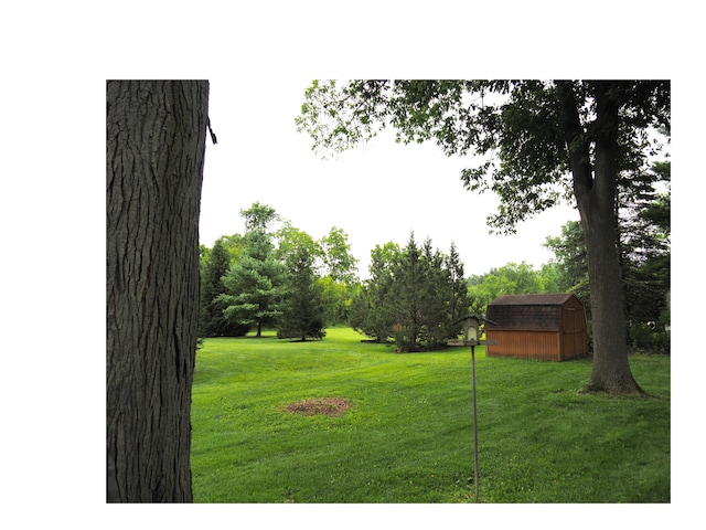 view of yard with a storage shed