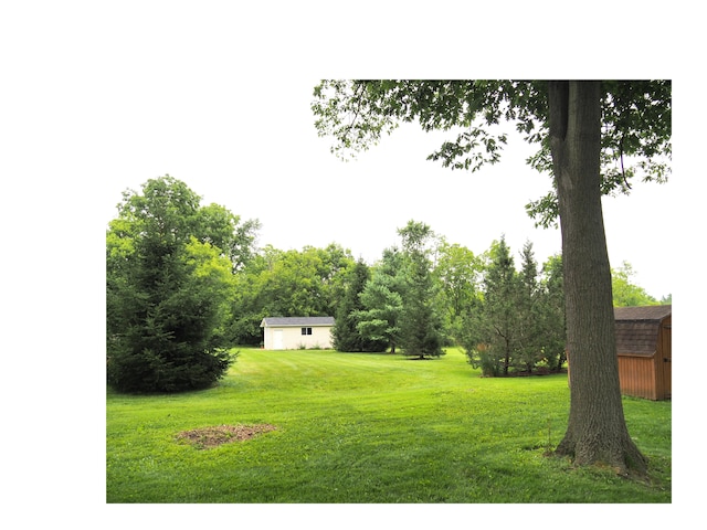 view of yard featuring a storage shed