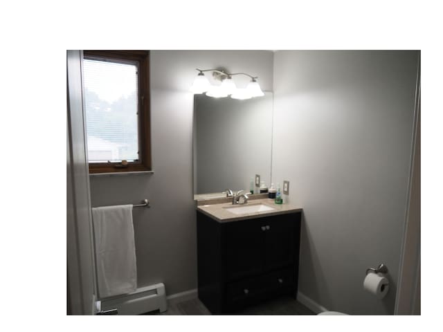 bathroom featuring vanity and baseboard heating