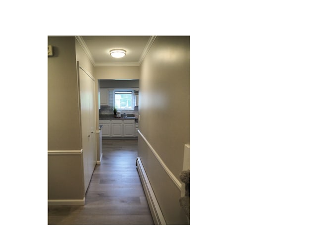 hall featuring ornamental molding, dark hardwood / wood-style floors, and a baseboard heating unit