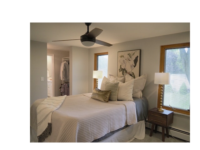 carpeted bedroom featuring ceiling fan, a closet, a walk in closet, and multiple windows