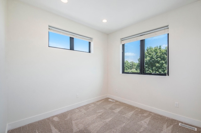 unfurnished room featuring a healthy amount of sunlight and light carpet