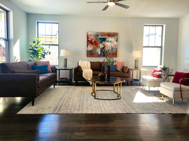 living room with ceiling fan and hardwood / wood-style floors