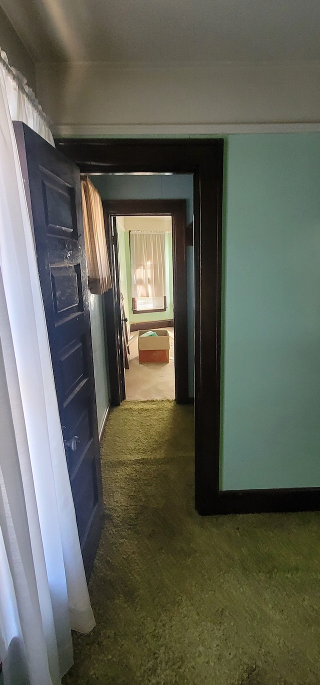 3238 Helen St, Detroit, MI 48207 - photo 17