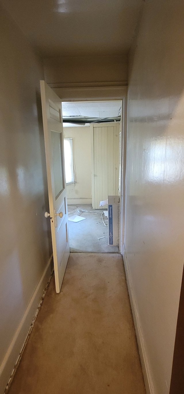 3238 Helen St, Detroit, MI 48207 - photo 21