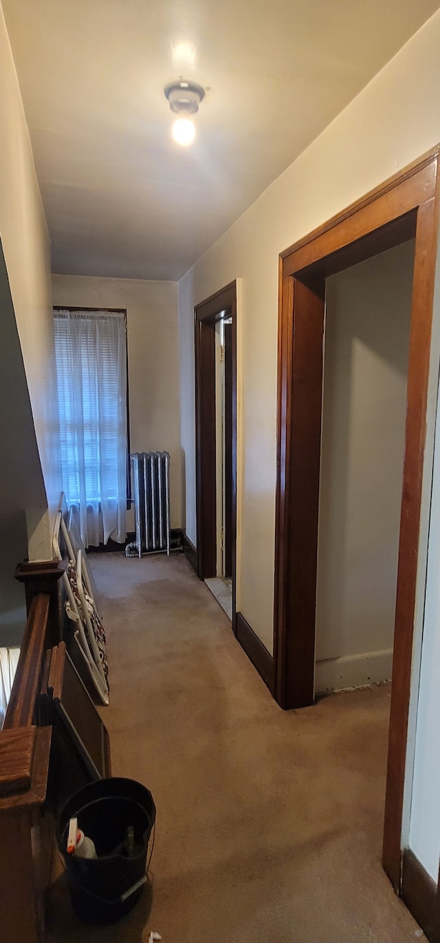 3238 Helen St, Detroit, MI 48207 - photo 31