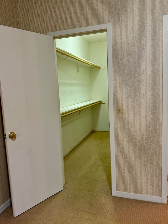 walk in closet with light carpet