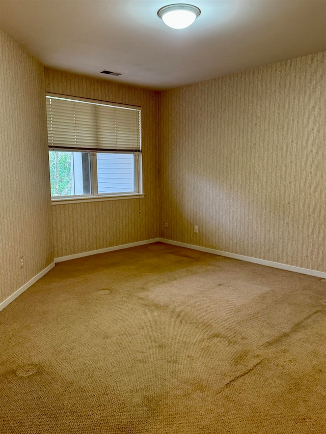 spare room featuring carpet floors