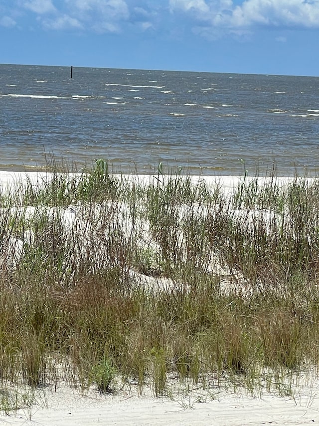 view of water feature