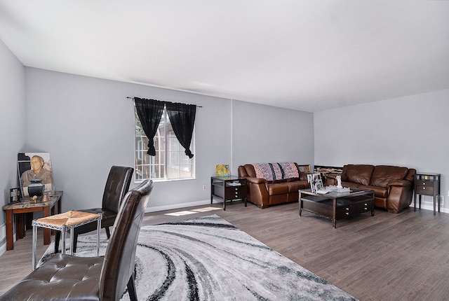 living room featuring hardwood / wood-style flooring