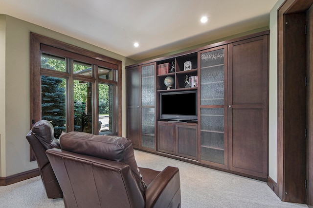 living room featuring light colored carpet