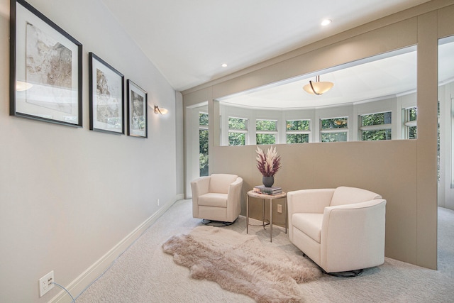 sitting room featuring light carpet