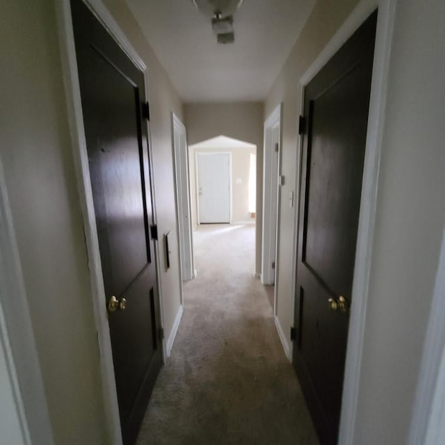 hallway with carpet floors