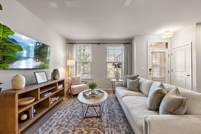 living room featuring dark hardwood / wood-style floors