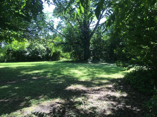156 Western Ave, Benton Harbor, MI 49022 - view of grassy yard featuring a forest view