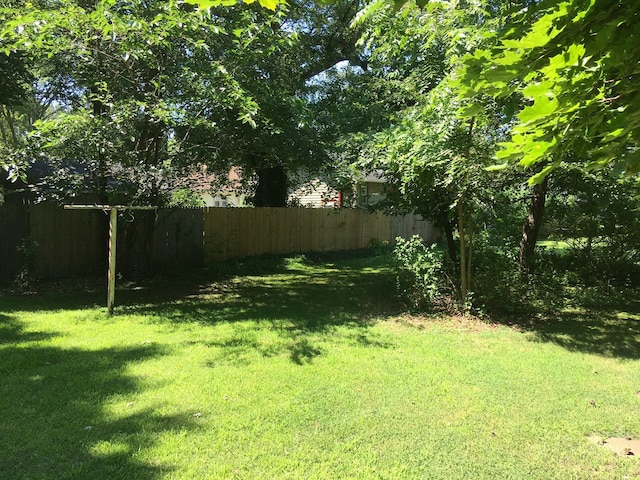 156 Western Ave, Benton Harbor, MI 49022 - view of yard