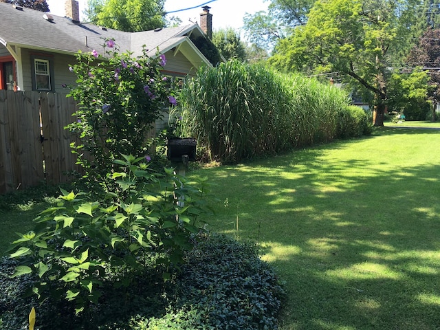 156 Western Ave, Benton Harbor, MI 49022 - view of yard