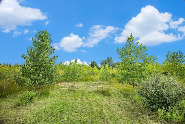 29988 Armada Ridge Rd, Richmond, MI 48062