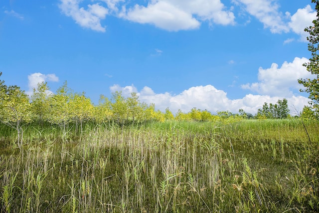 29988 Armada Ridge Rd, Richmond, MI 48062