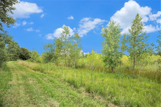29988 Armada Ridge Rd, Richmond, MI 48062