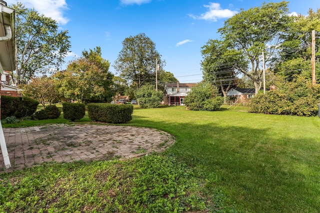 view of yard featuring a patio area