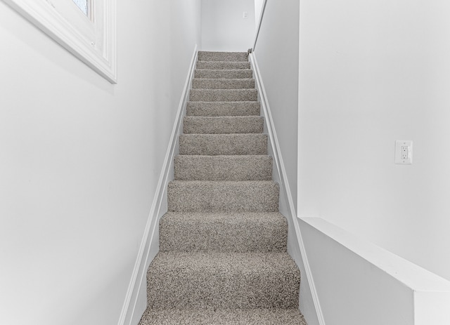 staircase with carpet flooring