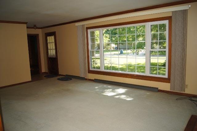 carpeted empty room with a healthy amount of sunlight and ornamental molding