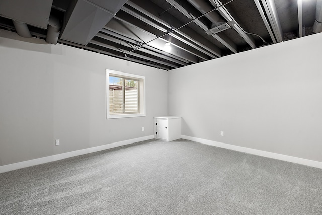 basement featuring carpet floors