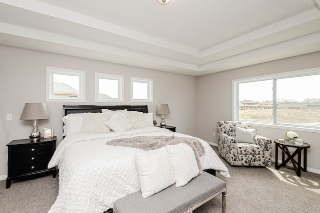 carpeted bedroom featuring a raised ceiling