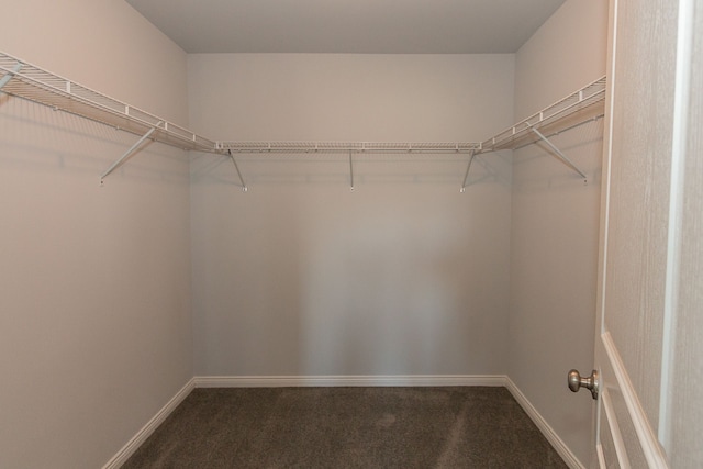 walk in closet with dark carpet