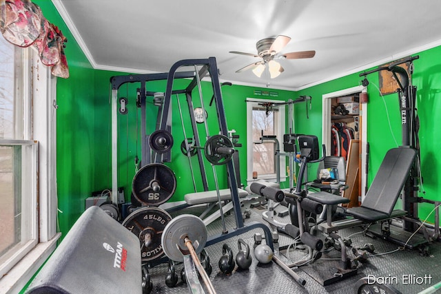 workout room with ornamental molding and a ceiling fan