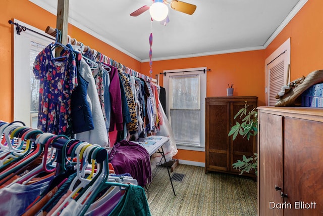 walk in closet featuring carpet and a ceiling fan