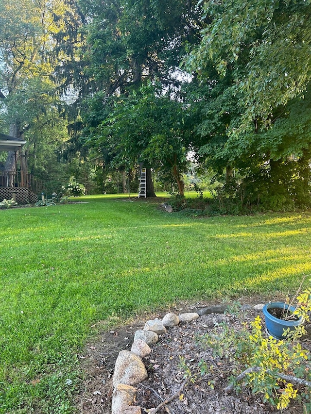 1894 N State Rd, Ionia, MI 48846 - photo 45