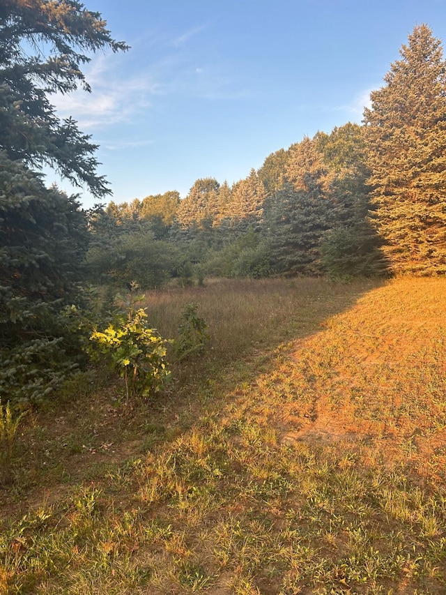 view of local wilderness featuring a forest view