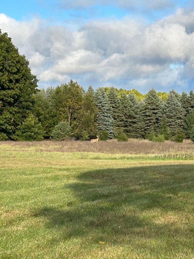 1894 N State Rd, Ionia, MI 48846 - photo 60