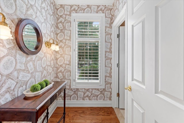 doorway featuring hardwood / wood-style floors