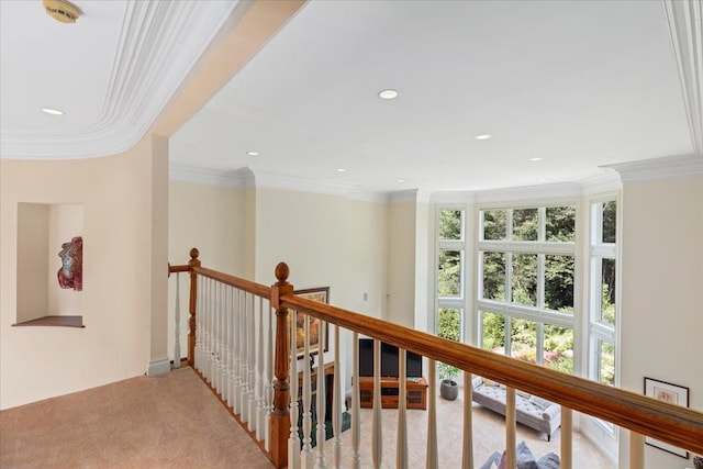 hall featuring ornamental molding and light carpet