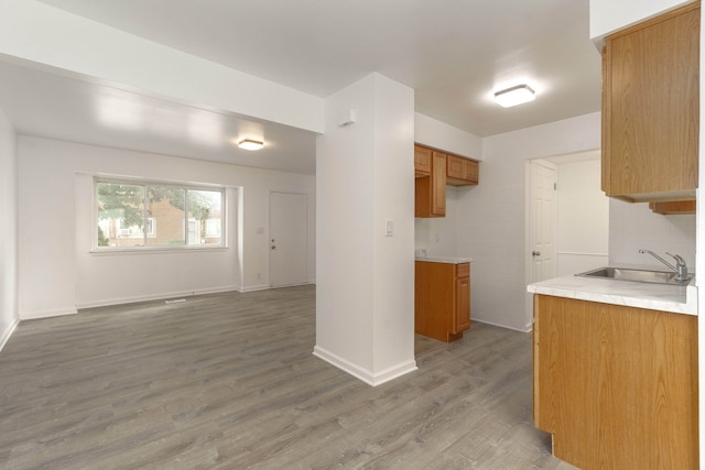 kitchen featuring hardwood / wood-style floors, backsplash, and sink