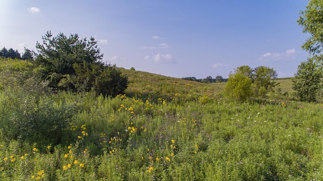 view of landscape