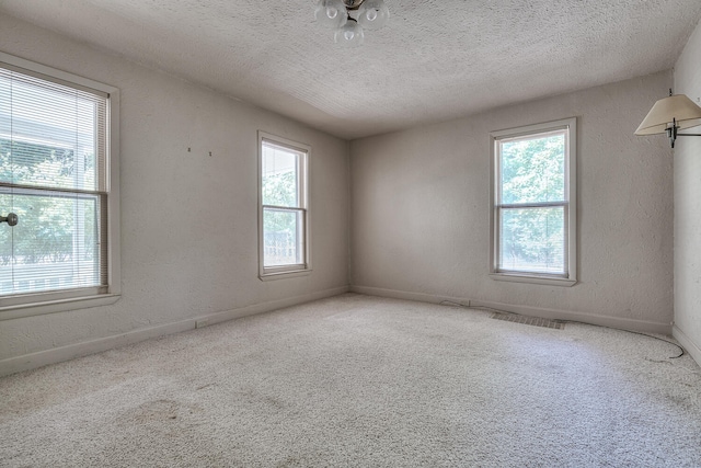 carpeted empty room with a healthy amount of sunlight and a textured ceiling