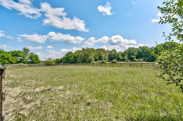 view of yard featuring a rural view