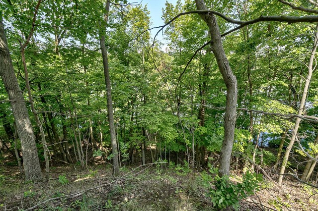2435 108th Ave, Otsego, MI 49078 - view of tree filled area