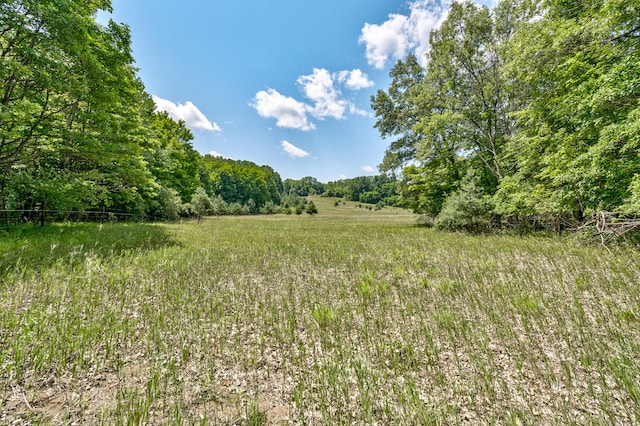 view of local wilderness featuring a rural view